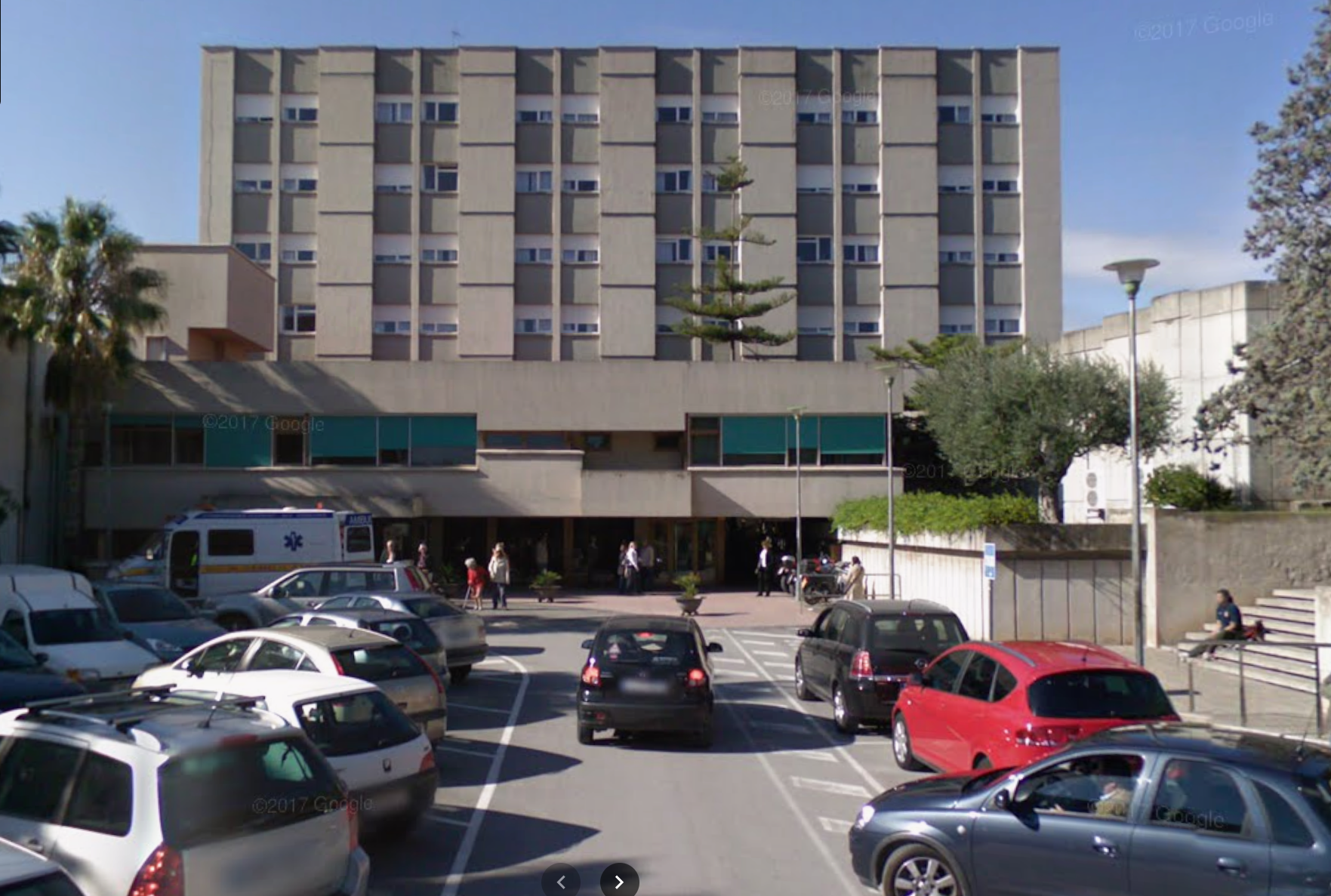 Spain Euthanizes 25-Year-Old After State Failed Her