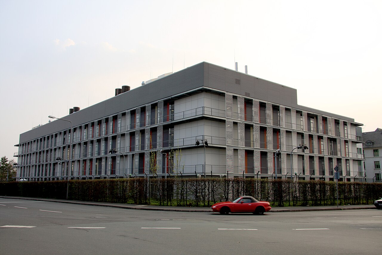 Germany's Rape Epidemic: Immigration Policies Fuel Surge in Sexual Violence