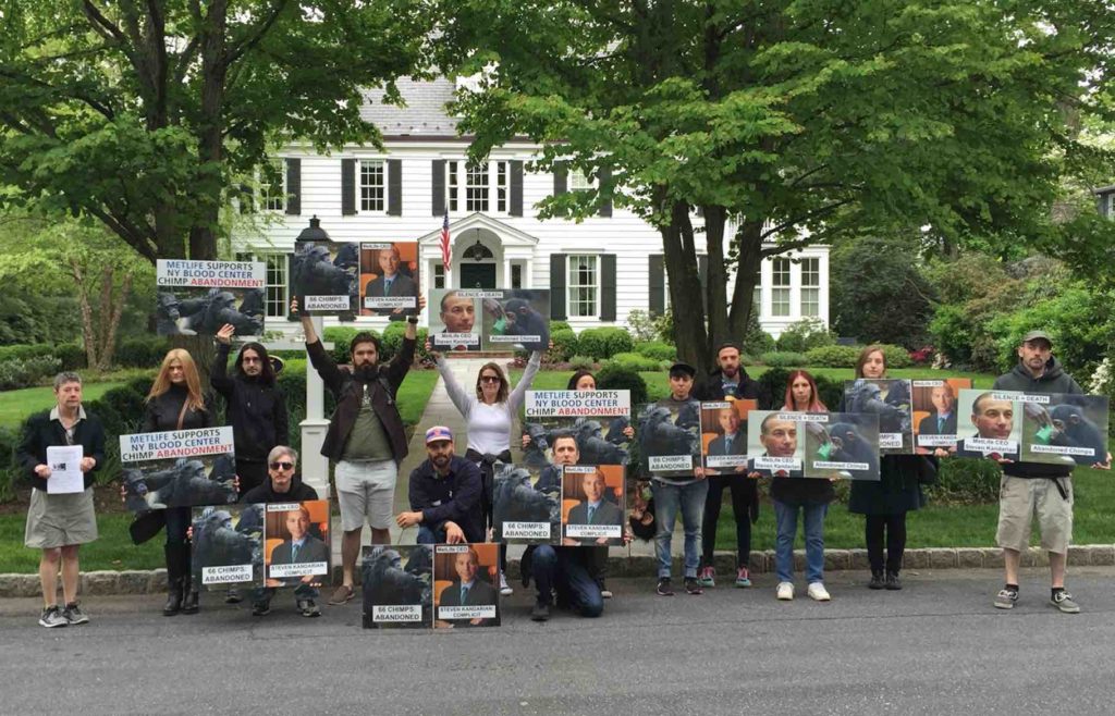 Attorney-Led Animal Rights Militia Escalates Criminal Raids