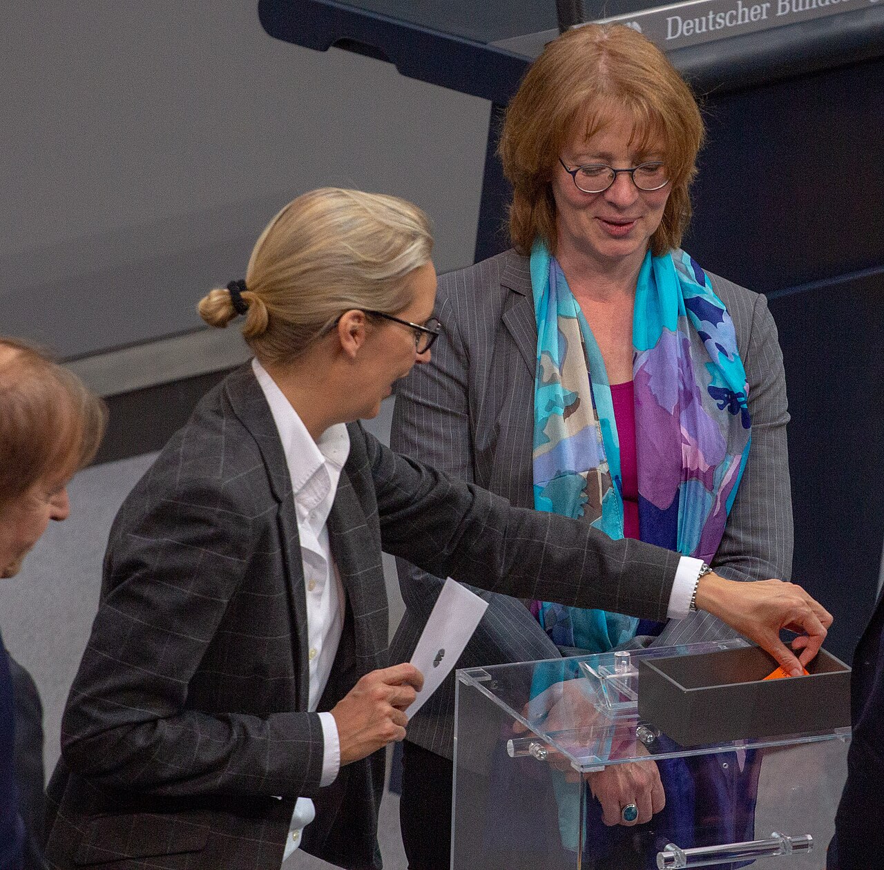 Alice Weidel, AfD co-president, during a Bundestag plenary session in Berlin, April 2019 / Photo: Olaf Kosinsky, Wikimedia Commons
