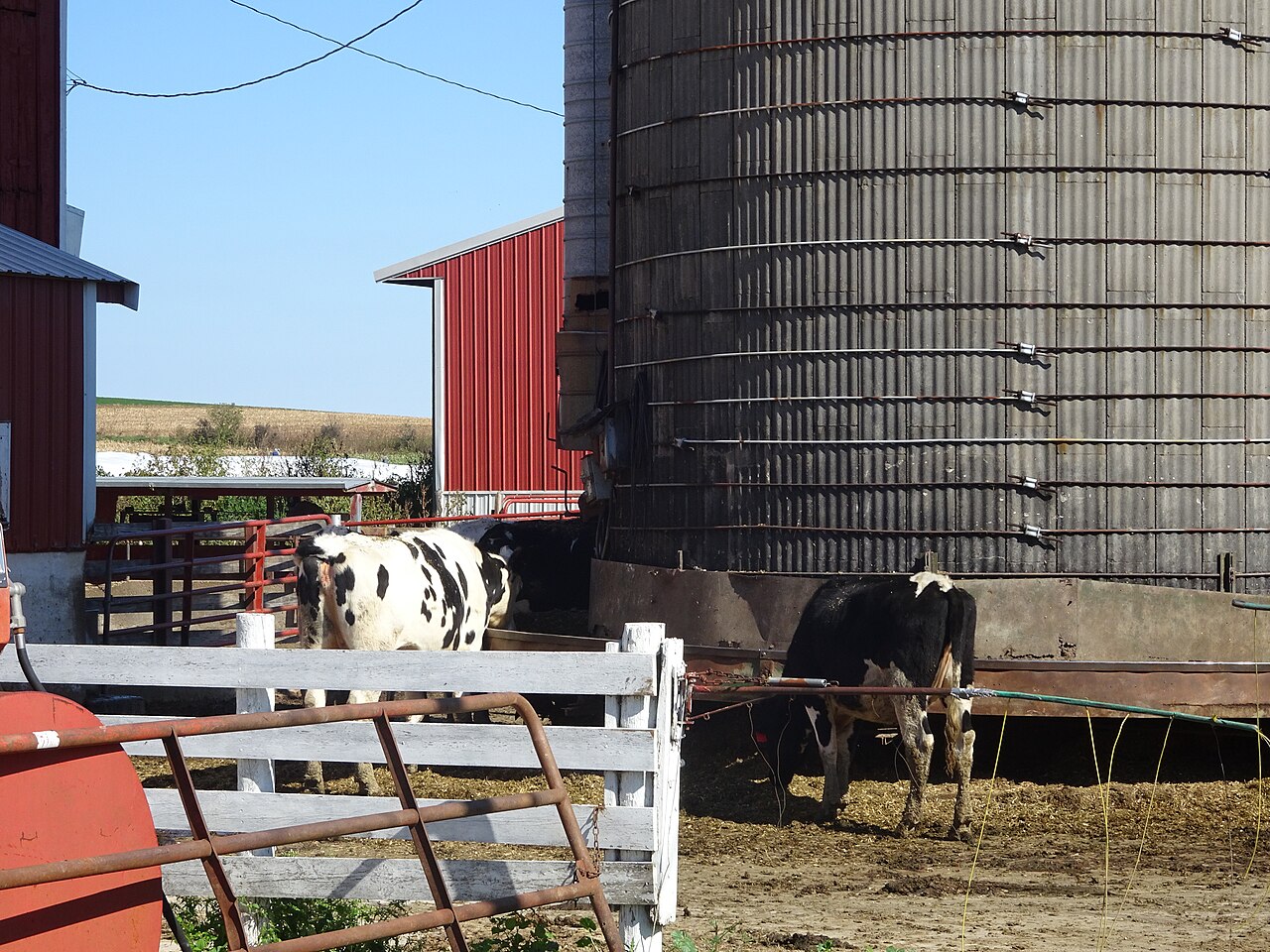 Voluntary ESG Program Coerces American Dairy Farmers Through Market Exclusion