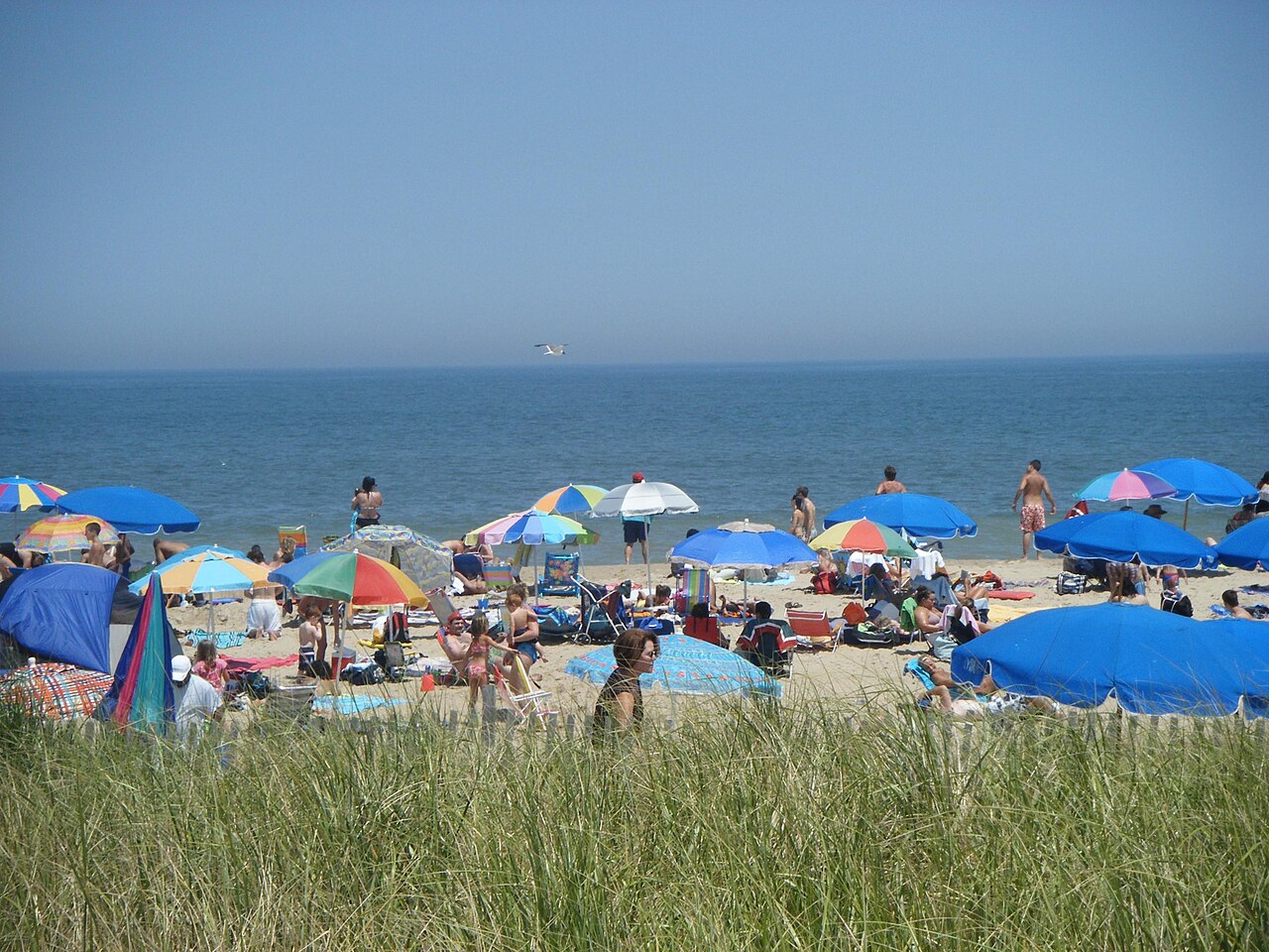 A view of Rehoboth Beach, Delaware at Delaware Avenue showing the shoreline and ocean / Panoramio user