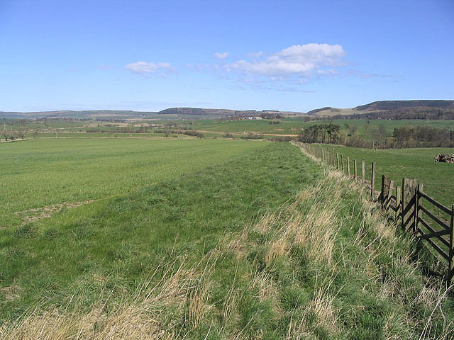 Rural Working Class Abandons Labour for Reform UK